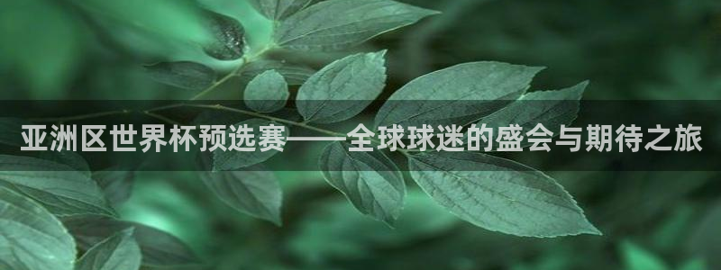2026年世界杯:亚洲区世界杯预选赛——全球球迷的盛会与期待之旅