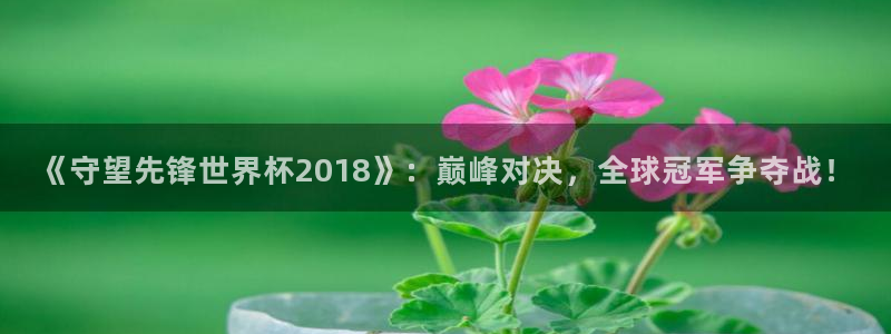 国际足联世界杯:《守望先锋世界杯2018》:巅峰对决,全球冠军争夺战!