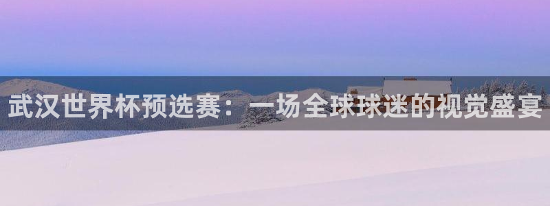 足球杯:武汉世界杯预选赛:一场全球球迷的视觉盛宴