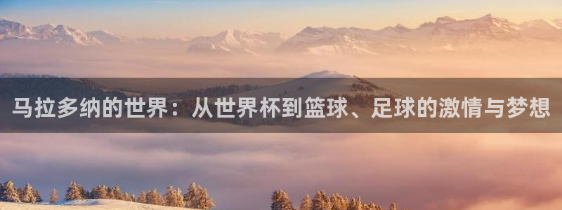 2026世界杯预选赛:马拉多纳的世界:从世界杯到篮球、足球的激情与梦想