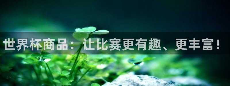 2026男足世界杯:世界杯商品:让比赛更有趣、更丰富!
