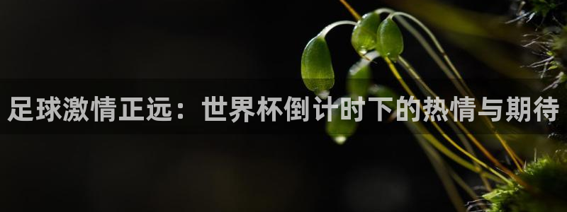 2026葡萄牙杯赛程表:足球激情正远:世界杯倒计时下的热情与期待