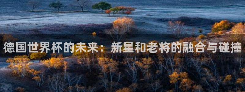 2026年世界杯赛程时间表格:德国世界杯的未来:新星和老将的融合与碰撞